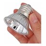 Luminária para Répteis com Iluminação Uva Uvb 3.0 Terrario Uva Uvb Reptil Sistema de Luz Uv 3.0 para - 7