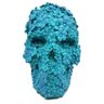 Crânio Caveira Mexicana Decorativo Flores Skull Azul - 1