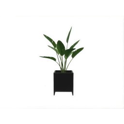 Cachepot New Preto - 1