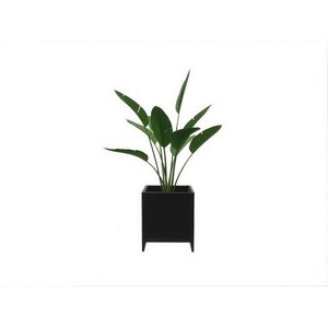Cachepot New Preto
