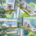 Ver imagem 5 de Cama Suspensa Janela Gato Pet Luxo Veludo Confortavel Rede Descanso Visao Panoramica Caminha Anti Es