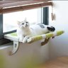 Cama Suspensa Janela Gato Pet Luxo Veludo Confortavel Rede Descanso Visao Panoramica Caminha Anti Es - 10