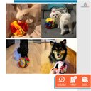 Ver imagem 7 de Brinquedo Bola De Fuçar Para Cachorro Esconder Petisco Interativo Enriquecimento Ambiental Pet Anti 