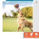 Ver imagem 6 de Brinquedo Bola De Fuçar Para Cachorro Esconder Petisco Interativo Enriquecimento Ambiental Pet Anti 
