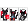 Quadros Decorativos Cachorro Buldogue Francês 180x60 - 1