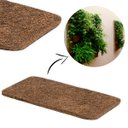 Ver imagem 2 de Placa Fibra de Coco 20x40x1,7cm Orquídeas Bromélias