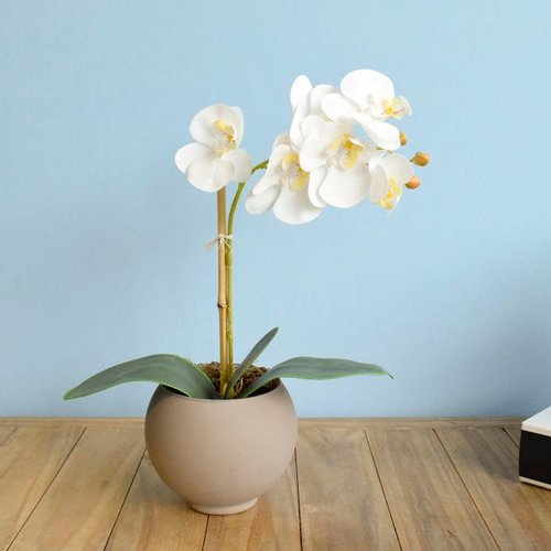 Arranjo de Flor Artificial Orquídea Branca no Vaso de Vidro Fendi Fosco |  Linha Permanente | MadeiraMadeira