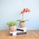 Ver imagem 5 de Arranjo de Flor Artificial Orquídea Coral no Vaso de Vidro Fendi Fosco | Linha Permanente