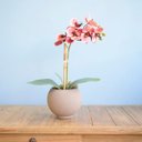 Ver imagem 1 de Arranjo de Flor Artificial Orquídea Coral no Vaso de Vidro Fendi Fosco | Linha Permanente