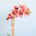Ver imagem 2 de Arranjo de Flor Artificial Orquídea Coral no Vaso de Vidro Fendi Fosco | Linha Permanente