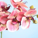 Ver imagem 3 de Arranjo de Flor Artificial Orquídea Coral no Vaso de Vidro Fendi Fosco | Linha Permanente