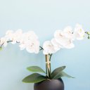 Ver imagem 5 de Arranjo de Orquídeas Brancas de Silicone no Vaso de Vidro Preto Fosco Médio | Linha Permanente