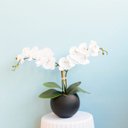 Ver imagem 6 de Arranjo de Orquídeas Brancas de Silicone no Vaso de Vidro Preto Fosco Médio | Linha Permanente