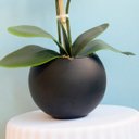 Ver imagem 3 de Arranjo de Orquídeas Brancas de Silicone no Vaso de Vidro Preto Fosco Médio | Linha Permanente