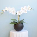 Ver imagem 1 de Arranjo de Orquídeas Brancas de Silicone no Vaso de Vidro Preto Fosco Médio | Linha Permanente