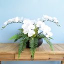 Ver imagem 1 de Arranjo Artificial com Seis Hastes de Orquídeas Branca e Folhas de Samambaia no Preto Fosco |Linha
