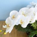 Ver imagem 4 de Arranjo Artificial com Seis Hastes de Orquídeas Branca e Folhas de Samambaia no Preto Fosco |Linha