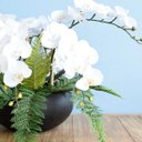 Ver imagem 3 de Arranjo Artificial com Seis Hastes de Orquídeas Branca e Folhas de Samambaia no Preto Fosco |Linha