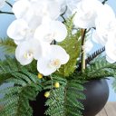 Ver imagem 2 de Arranjo Artificial com Seis Hastes de Orquídeas Branca e Folhas de Samambaia no Preto Fosco |Linha