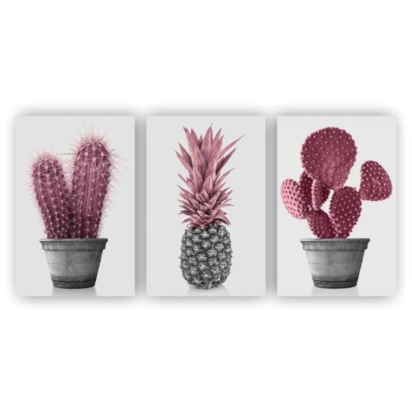 Kit Placas Quadros Decorativos Sala 3 Pçs 80x60 Floral Cacto Rosa