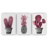 Kit Placas Quadros Decorativos Sala 3 Pçs 80x60 Floral Cacto Rosa - 1
