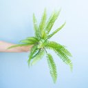 Ver imagem 2 de Buque de Samambaia Artificial |Linha Permanente Formosinha