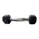 Ver imagem 1 de Halteres Sextavado Injetado com Pegada Cromada 1,0kg