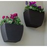 Jogo 2 Vasos Polietileno Parede Moderno Horta Planta Floreira 25 Café - Japi - 5