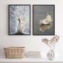 Ver imagem 1 de Kit 2 Quadros Fotos Azul e Branco- Pavão e Pena 33x24cm - com Vidro:madeira Branca