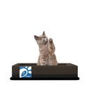 Ver imagem 2 de Colchão Box Pet Foam Probel Marrom:G