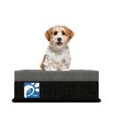 Ver imagem 2 de Colchão Box Pro Pet Plus Probel:M