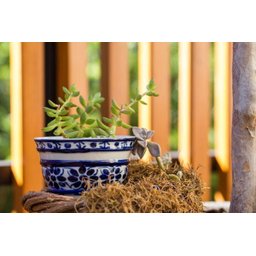 Vaso Decorativo com Prato de Porcelana Azul e Branca Pintado À Mão - 4