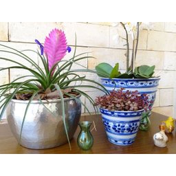 Cachepot Decorativo de Porcelana Azul e Branca Pintado a Mão Super Grande - 4