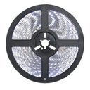 Ver imagem 2 de Fita Led 3528 Branco Frio 6500k 300 Led 4.8w / Metro com Silicone Rolo 5 Metros 12v + Fonte 2.5ap