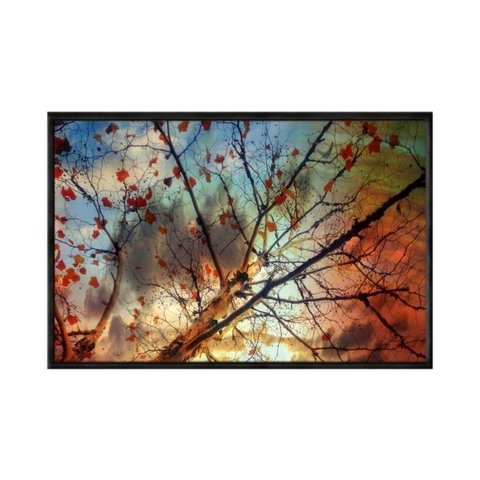 Quadro Decorativo - Arvore Folhas de Outono Flnt045 - Tela Canvas - 60x40cm