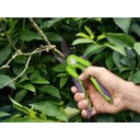 Ver imagem 5 de Tesoura para Poda Corte Reto 200mm Palisad