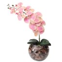 Ver imagem 1 de Arranjo e Vaso Flores de Orquideas Rosa Delicada Decorativa