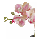 Ver imagem 2 de Arranjo e Vaso Flores de Orquideas Rosa Delicada Decorativa