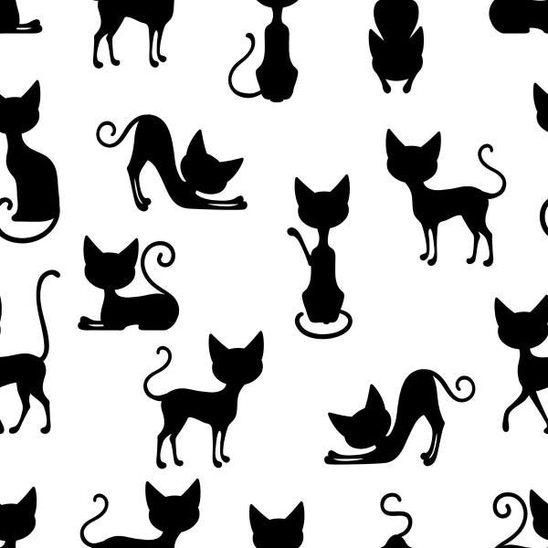 Papel de Parede Adesivo Desenho Gato Pet Shop Quarto 5m