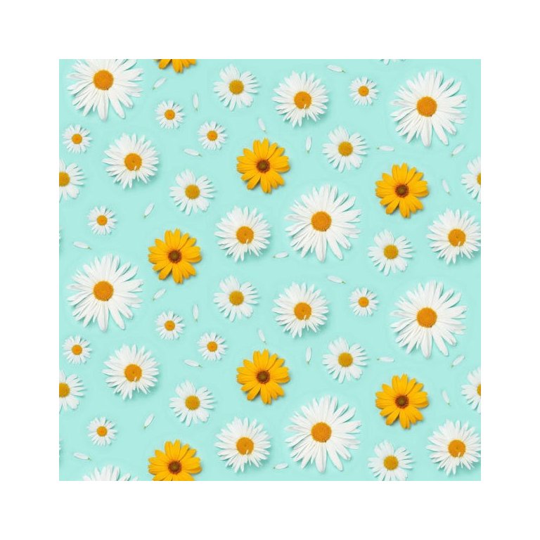 Papel Parede Adesivo Floral Margarida Girassol Cozinha 3m Papel Parede Adesivo Floral Margarida Girassol Cozinha 3m