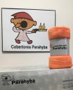 Ver imagem 2 de Cobertor Microfibra Plush - Kit 4 Peças - Casal