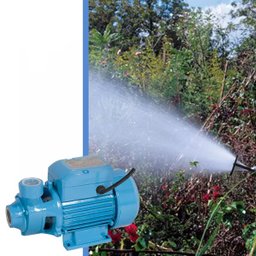 Bomba D`água Periférica 0,5 Cv Qb60 2761 Gamma 220V - 2