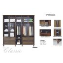 Ver imagem 2 de Guarda-Roupa Casal com Espelho 10 Portas Goiânia Rodmóveis