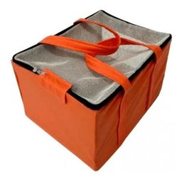 Bolsa Transporte Aéreo Padrão Companhia Gol - 1