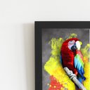 Ver imagem 2 de Papagaio Animais Foto Arte Quadro Moldura Preta 60x40cm