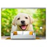 Papel De Parede Animais Cachorro Filhote 3D 7,50M² Anm202 - 1