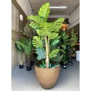Ver imagem 5 de Vaso de Planta Grande Decorativo para Sala Auto Brilho 47cm (liso/marrom-claro)