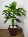 Ver imagem 2 de Planta Artificial Árvore Palmeira Areca 1,10m
