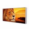 Quadro Leão Paisagem Perfil 80X40Cm Slim Branca B004 - 1