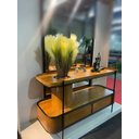 Ver imagem 1 de Aparador Laminado Decorativo 2 Gavetas com Suporte para Planta - Oasis - Móveis Montanhês